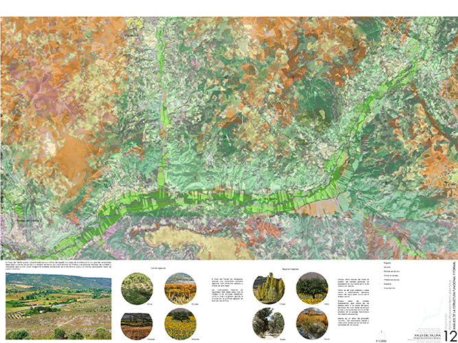 Análisis y diagnósticos del Valle del Tajuña arquitectura - Pablo Martínez Alonso