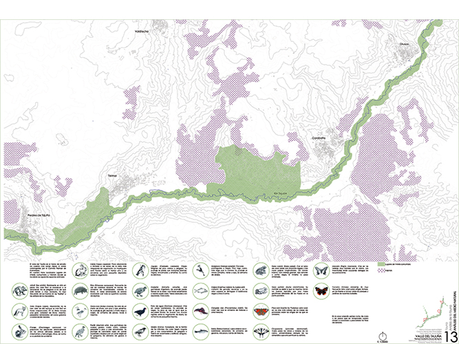 Análisis y diagnósticos del Valle del Tajuña arquitectura - Pablo Martínez Alonso