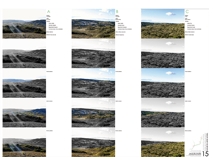 Análisis y diagnósticos del Valle del Tajuña arquitectura - Pablo Martínez Alonso