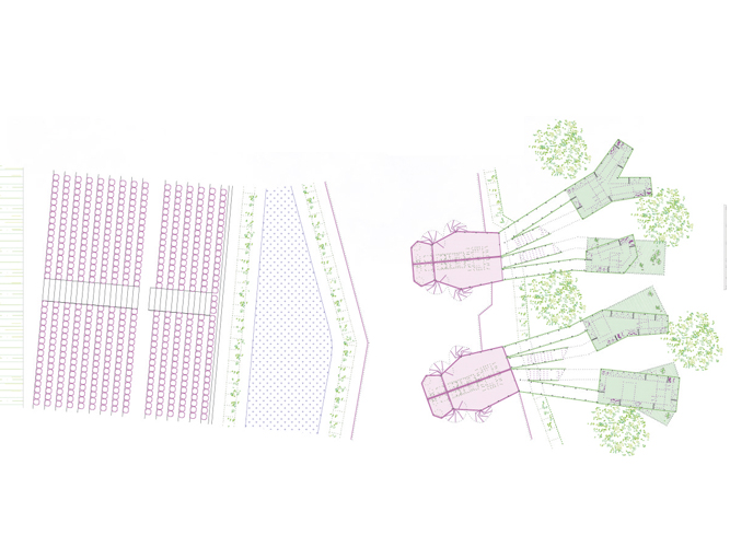 Buenos Aires Alto Rendimiento Archmedium Futbol arquitectura - Pablo Martínez Alonso